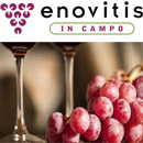 Enovitis In Campo Montepulciano Uluslararası Tarım, Ormancılık, Bahçecilik, Hayvancılık Fuarı