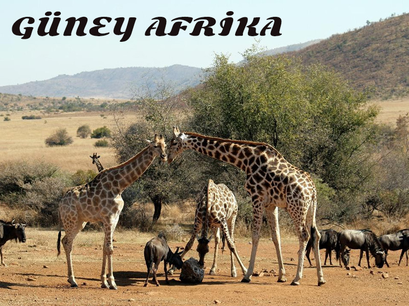 Güney Afrika Turu